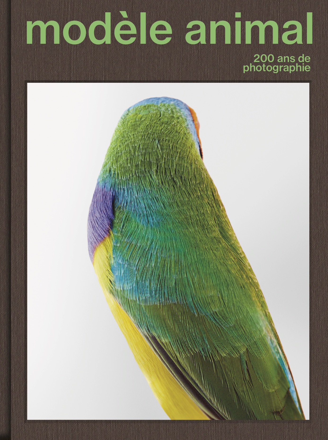 ANIMAL MODEL 200 YEARS OF PHOTOGRAPHY RENCONTRES D’ARLES