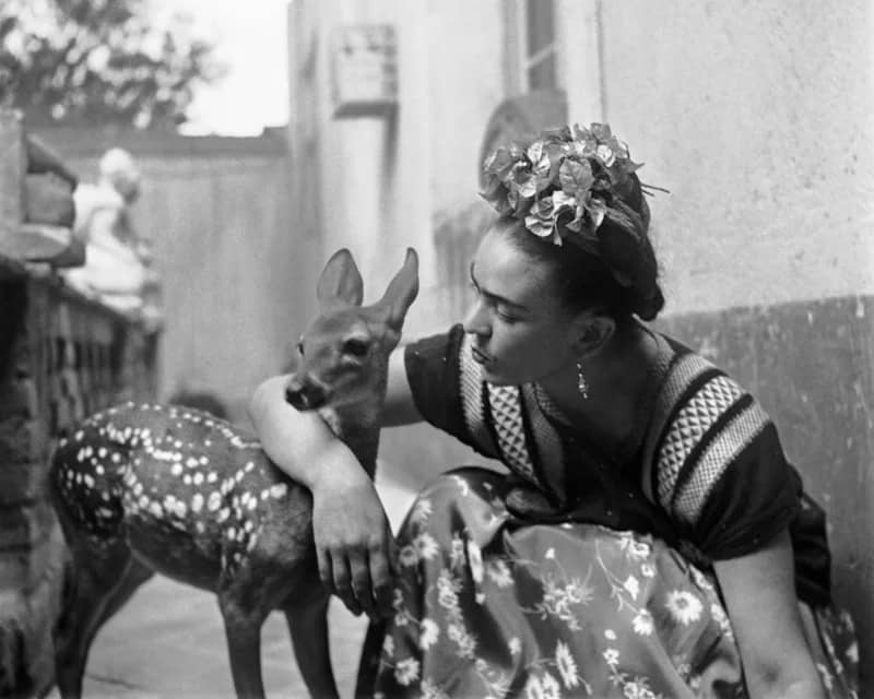 Exhibiton View Animals without us, ‘Not every encounter needs to become self-reflection’.