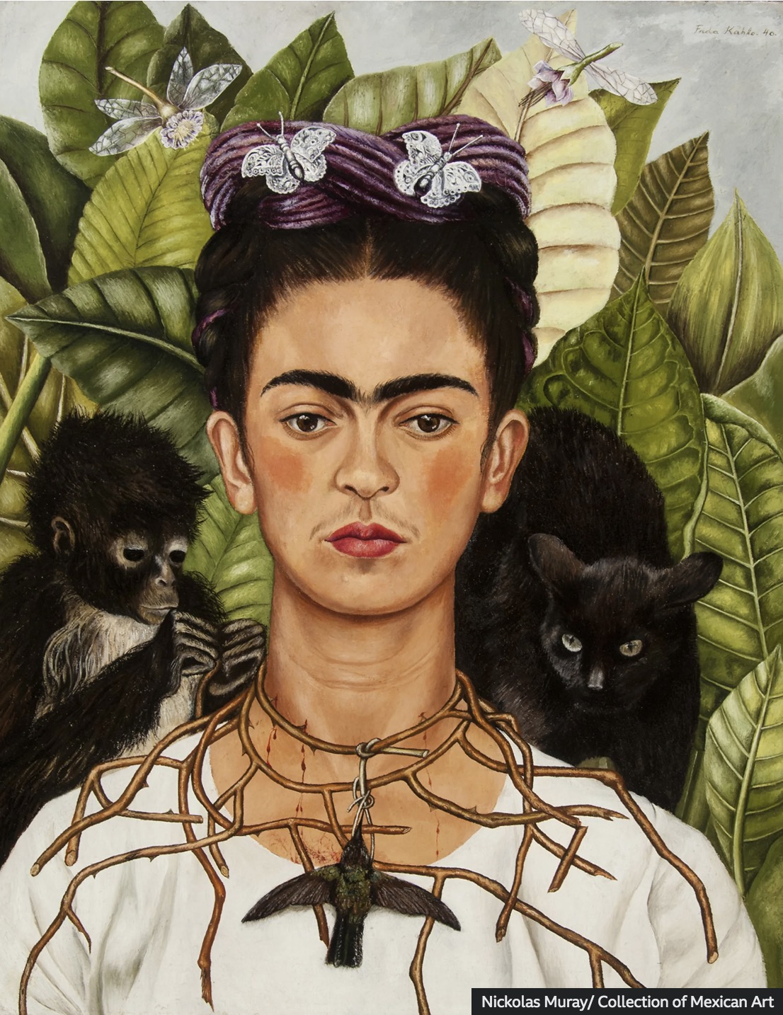 Exhibiton View Animals without us, ‘Not every encounter needs to become self-reflection’.